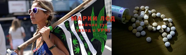 трава Арсеньев
