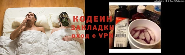трава Арсеньев