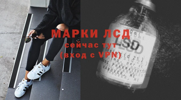 трава Арсеньев